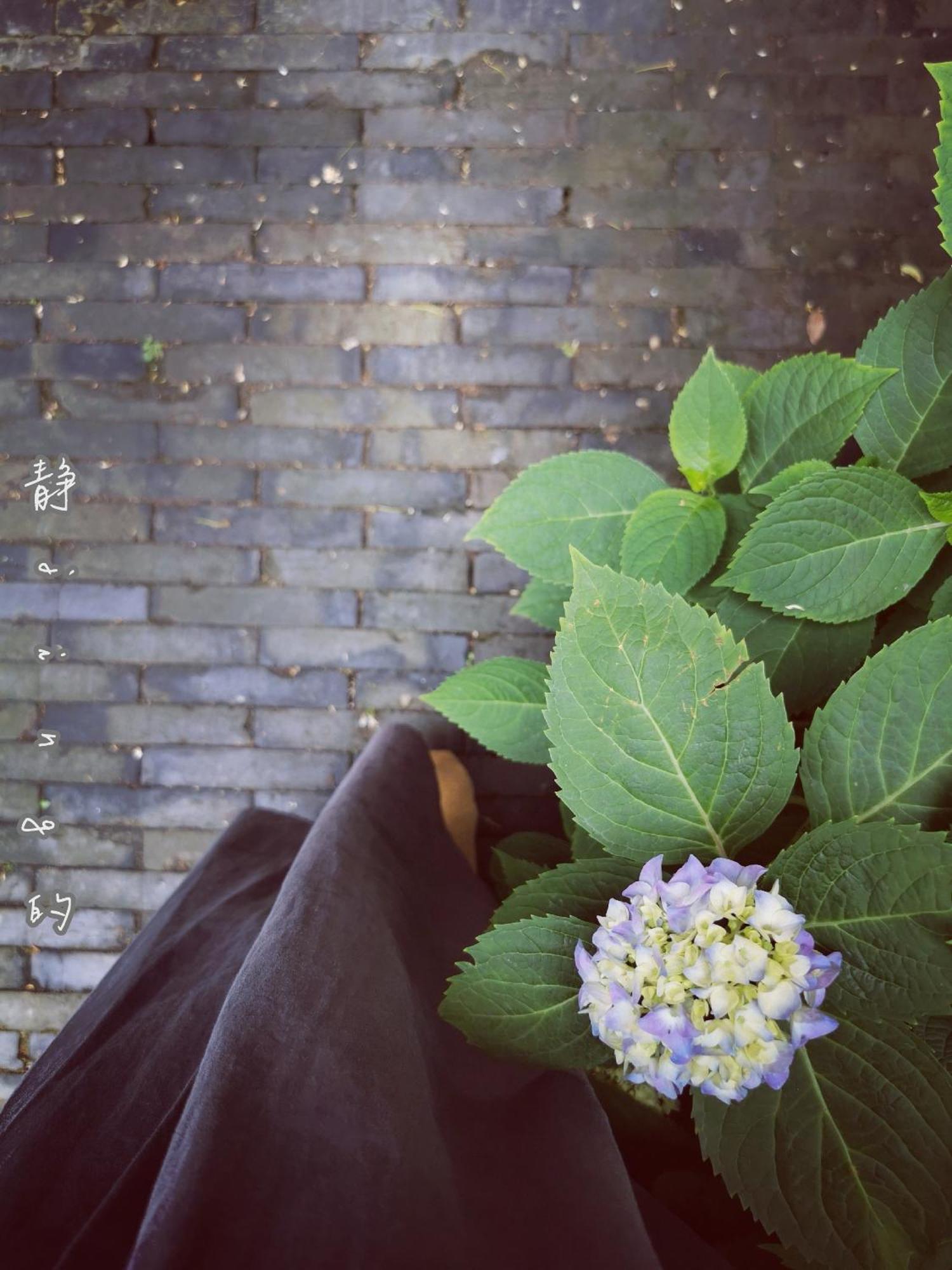 Suzhou Houlishenghuo Guesthouse Ngoại thất bức ảnh